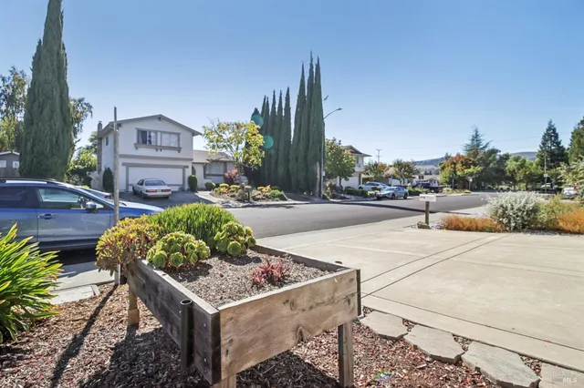 a view of a garden with an outdoor seating