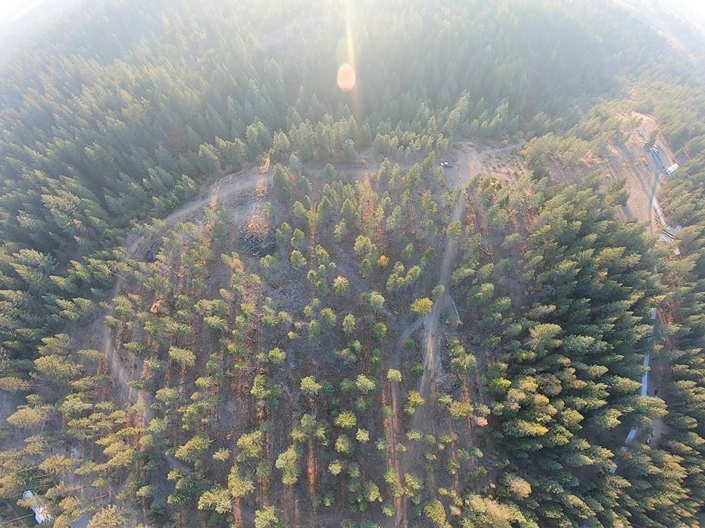 Xx46 West Xx46 W Jump Off Road Valley, WA 99181 - Photo 6 of 19