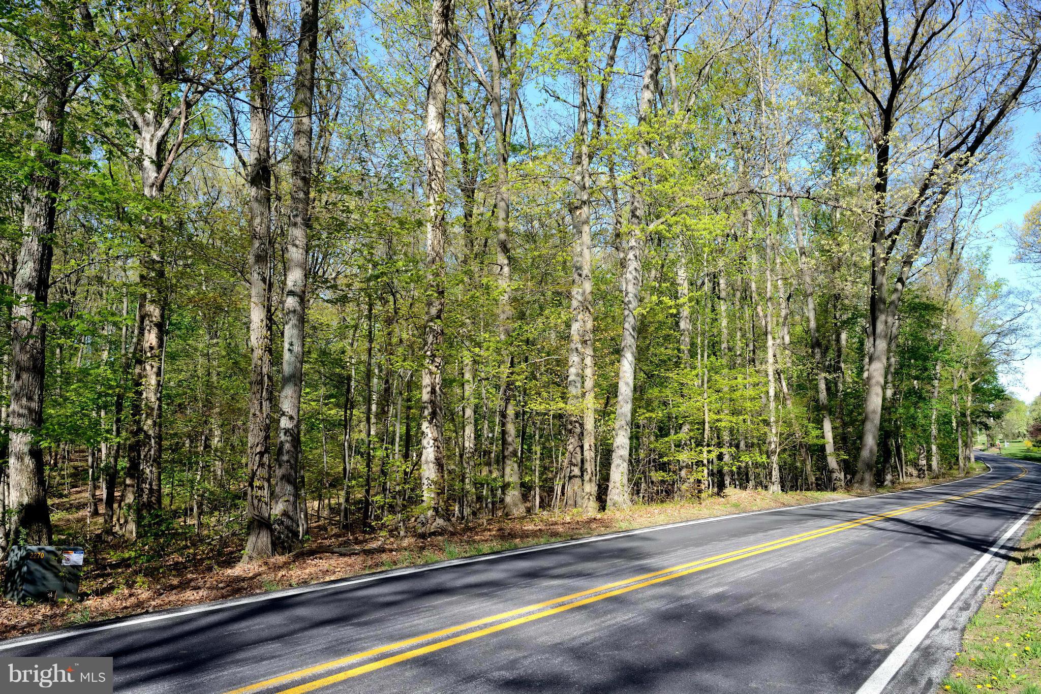 17731 Hardy Road Mount Airy, MD 21771 - Photo 22 of 28 View