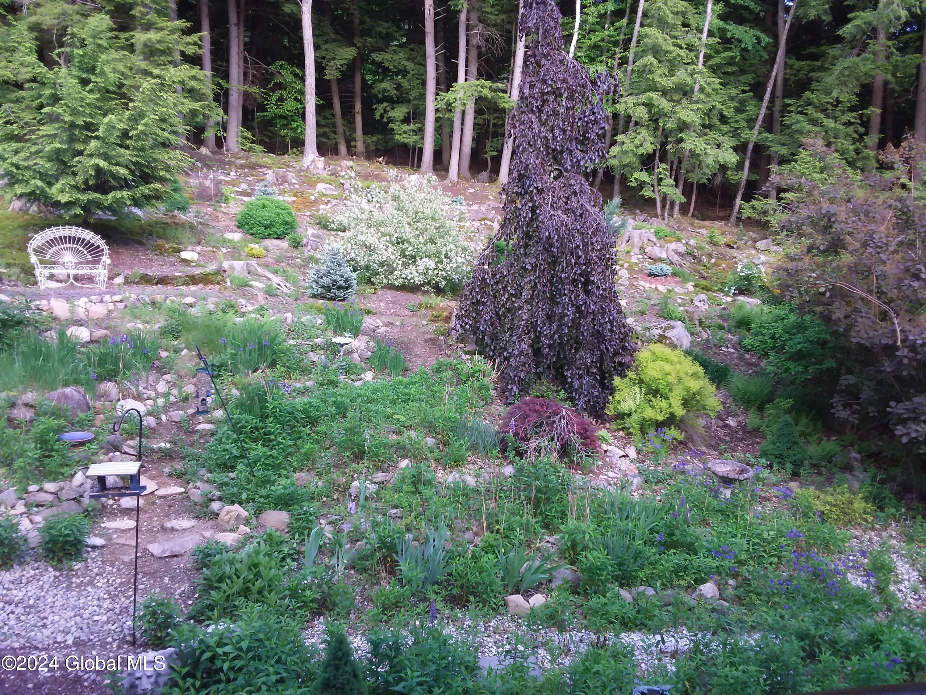 21 Deer Creek Road Bolton, NY 12824 - Photo 47 of 50 dc backyard
