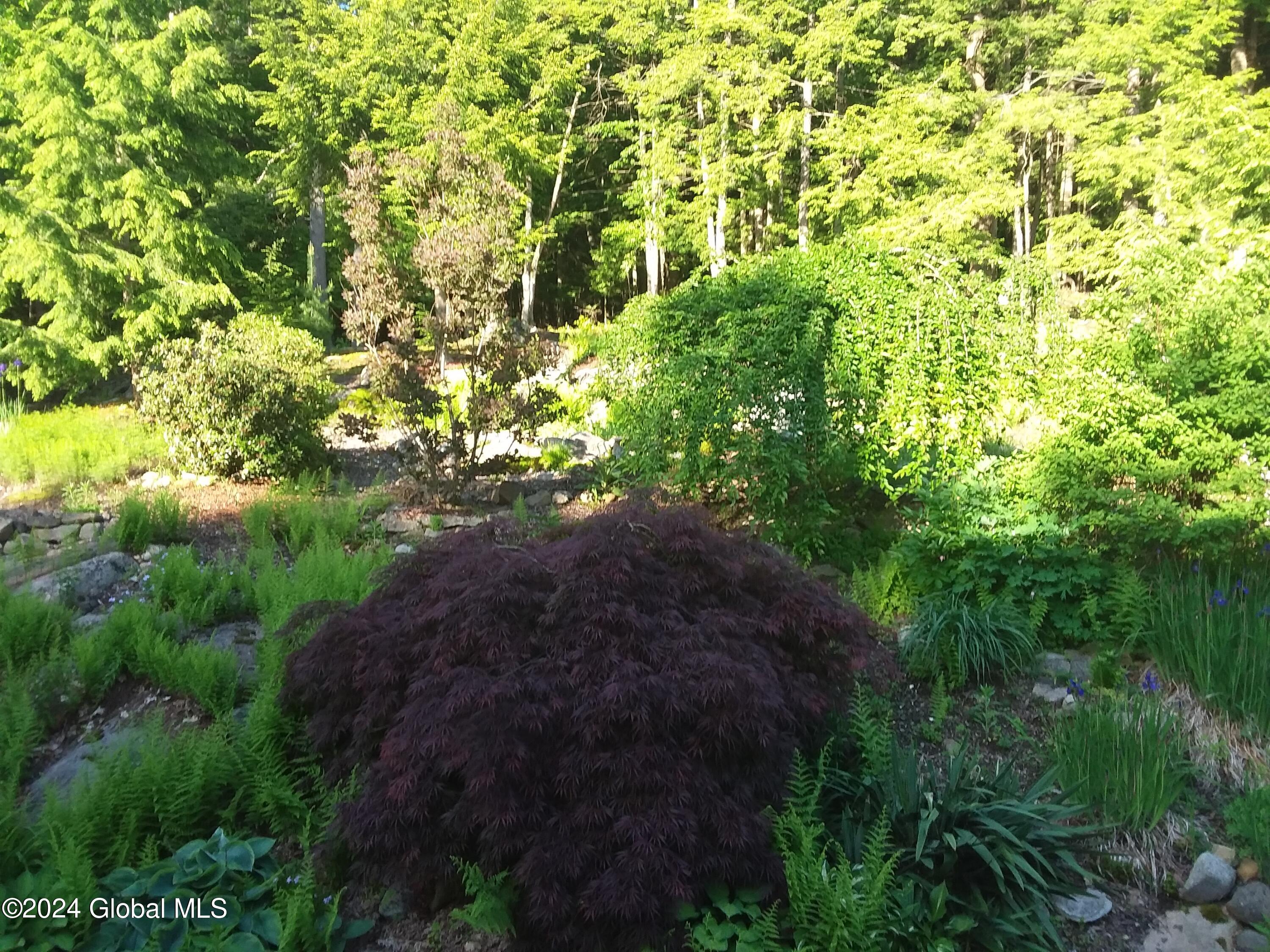 21 Deer Creek Road Bolton, NY 12824 - Photo 49 of 50 dc backyard 3