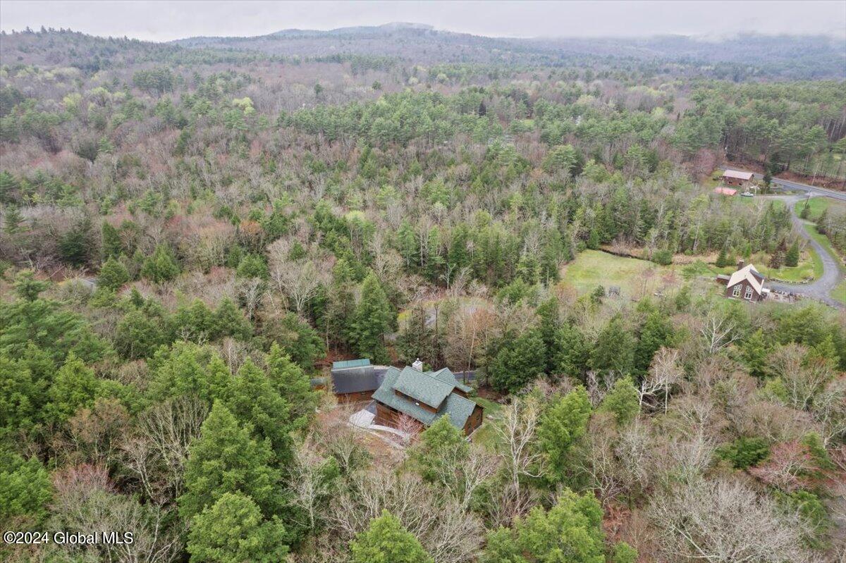 21 Deer Creek Road Bolton, NY 12824 - Photo 6 of 50 04-DJI_0856