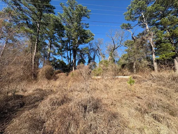 a view of a yard with trees