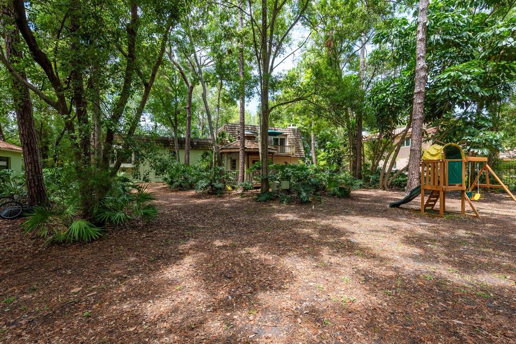 2279 Ranchette Lane Dunedin, FL 34698 - Photo 43 of 50 a view of a park with a slide