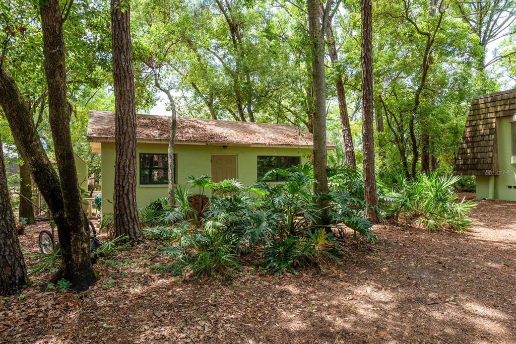 2279 Ranchette Lane Dunedin, FL 34698 - Photo 44 of 50 a view of a house with lots of plants and large trees