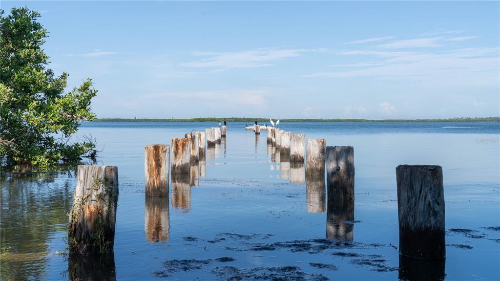 2279 Ranchette Lane Dunedin, FL 34698 - Photo 49 of 50