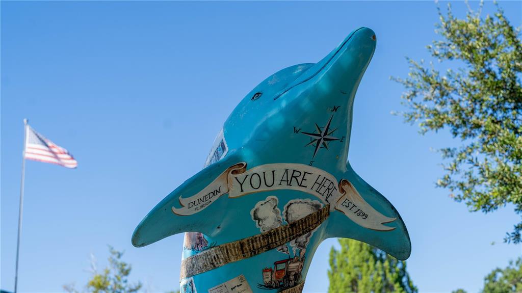 2279 Ranchette Lane Dunedin, FL 34698 - Photo 50 of 50