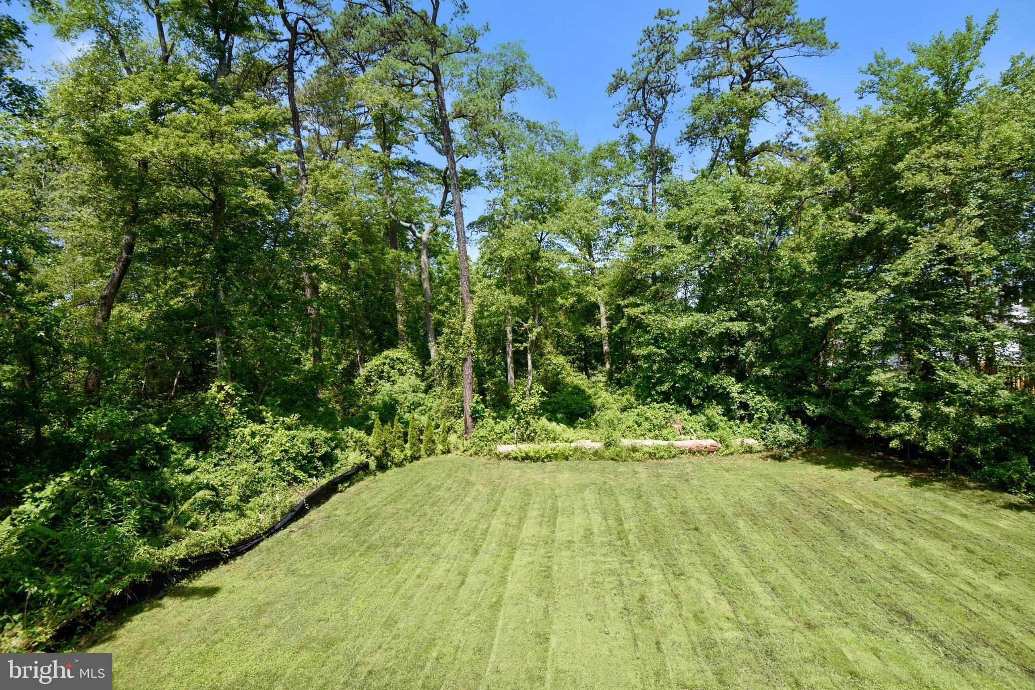 8174 WB&A Road Severn, MD 21144 - Photo 15 of 36 Huge yard, the property is .64 acres