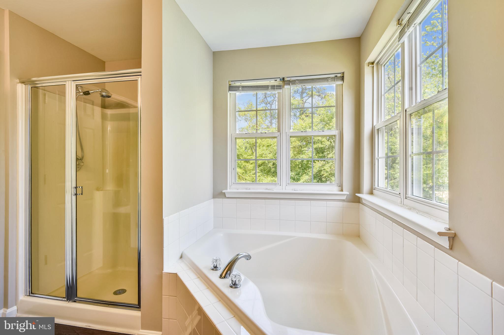 8174 WB&A Road Severn, MD 21144 - Photo 25 of 36 Sunny soaking tub and separate shower