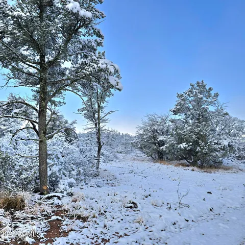 a view of a yard with a tree