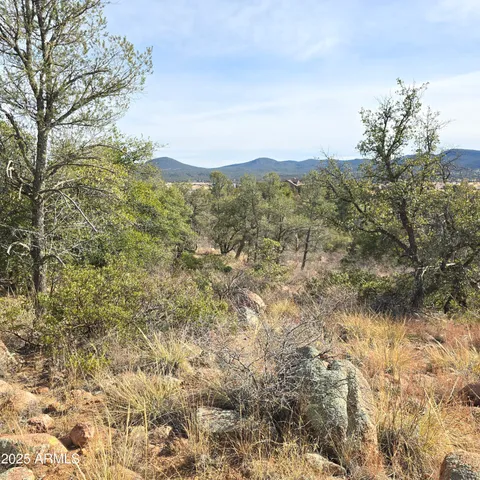 a view of a city with lush green forest