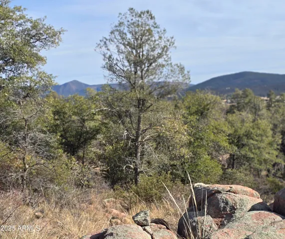 a view of a yard with mountain view