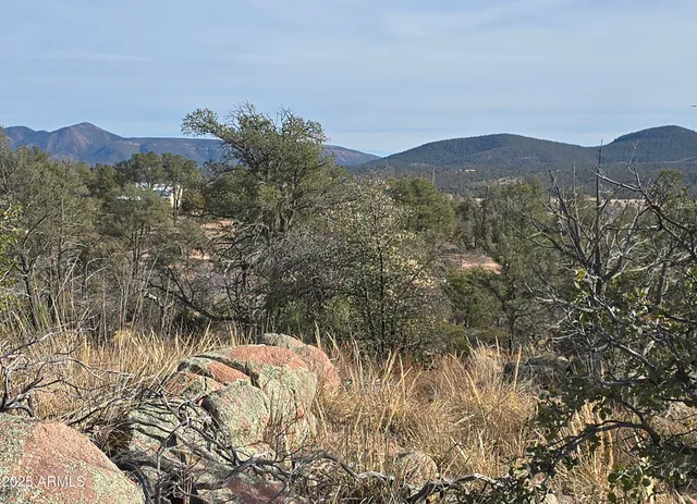 a view of a town with mountains in the background