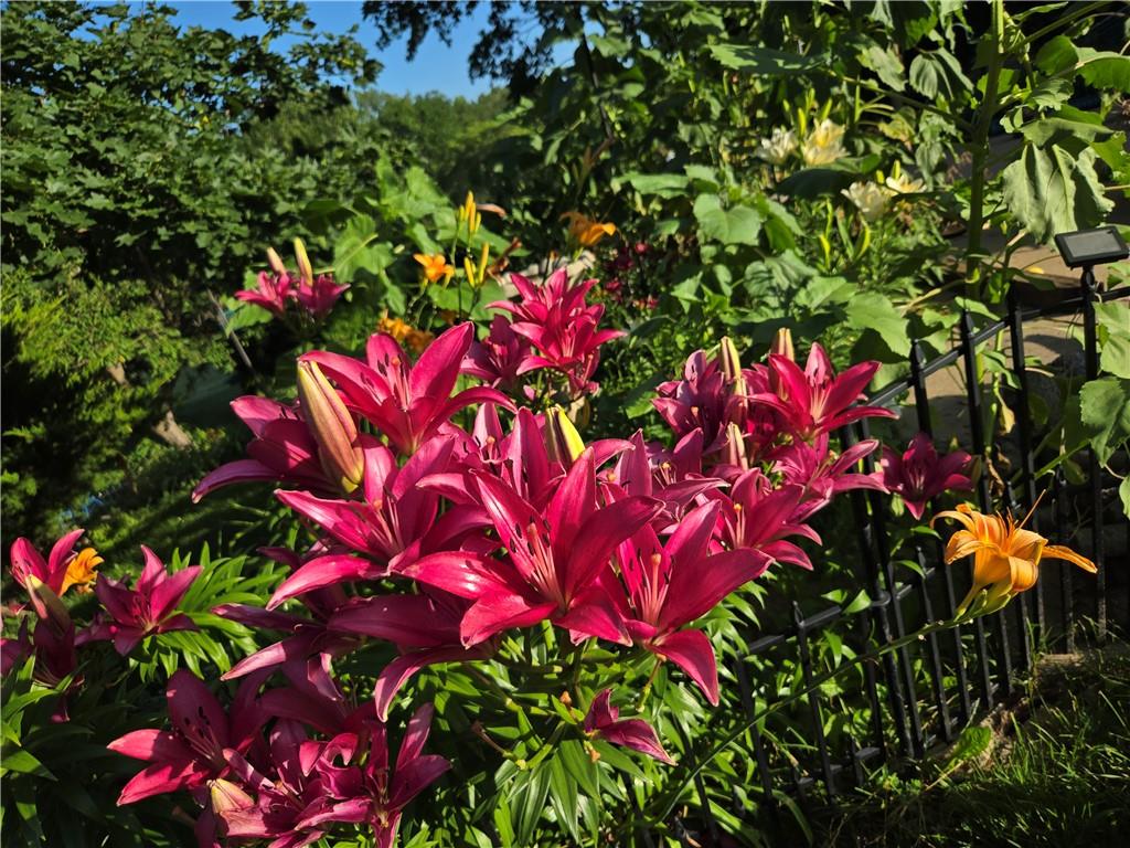 2103 85th Road Northeast St. Joseph, MO 64507 - Photo 30 of 48