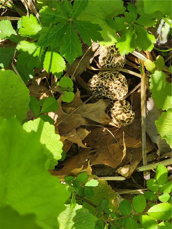 2103 85th Road Northeast St. Joseph, MO 64507 - Photo 41 of 48