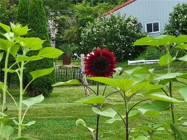 $539,900 | 2103 85th Road Northeast, St. Joseph, MO 64507