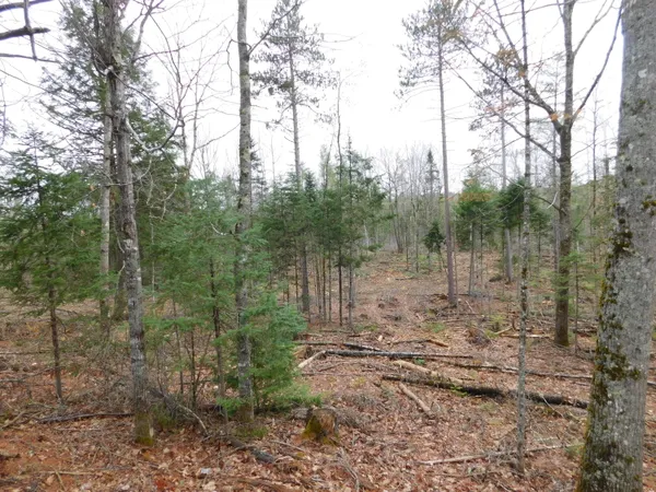 $45,000 | Lot # Spring Bridge Road, Greenbush, ME 04418