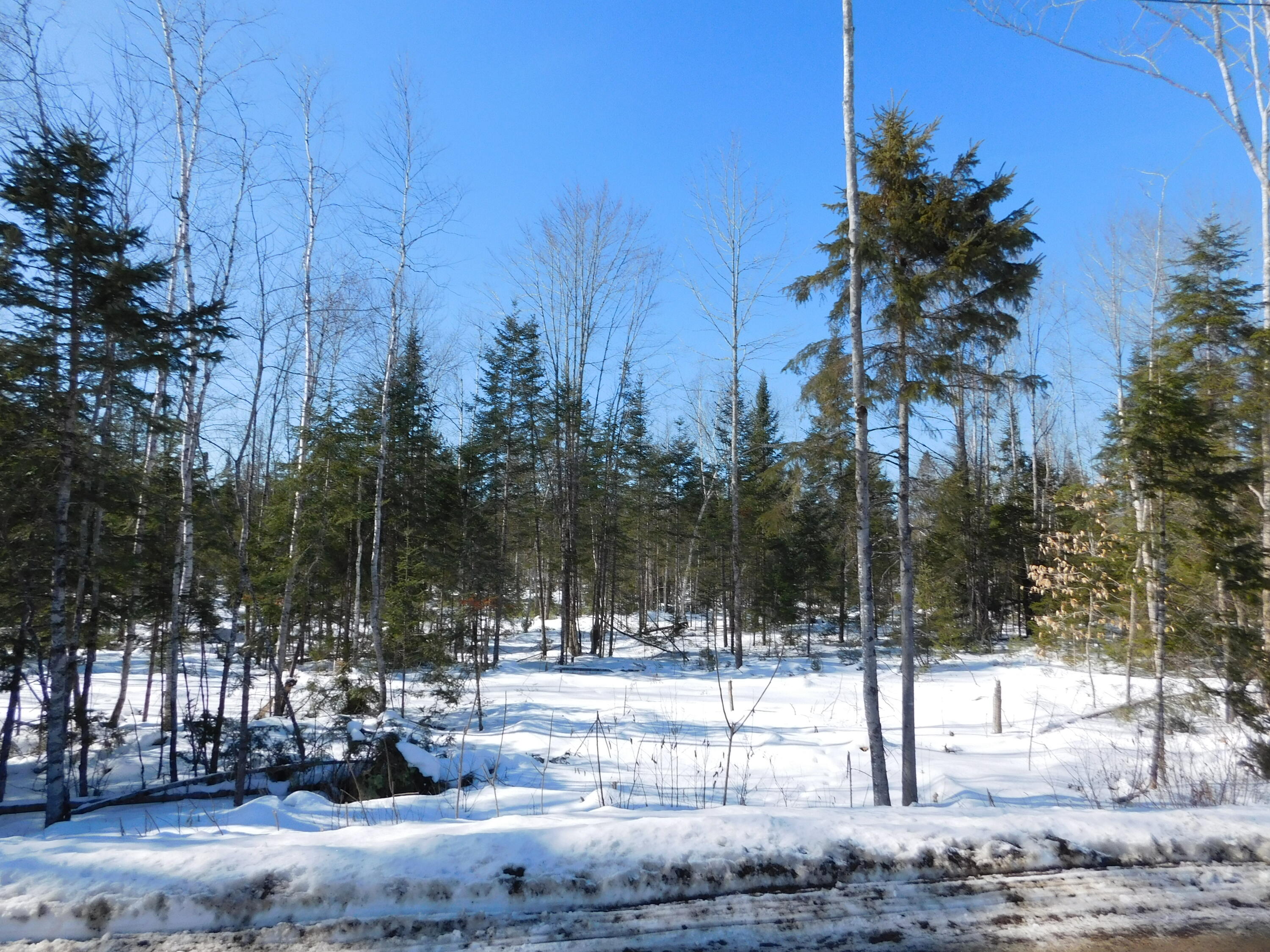 Lot # Spring Bridge Road Greenbush, ME 04418 - Photo 1 of 3 DSCN0127