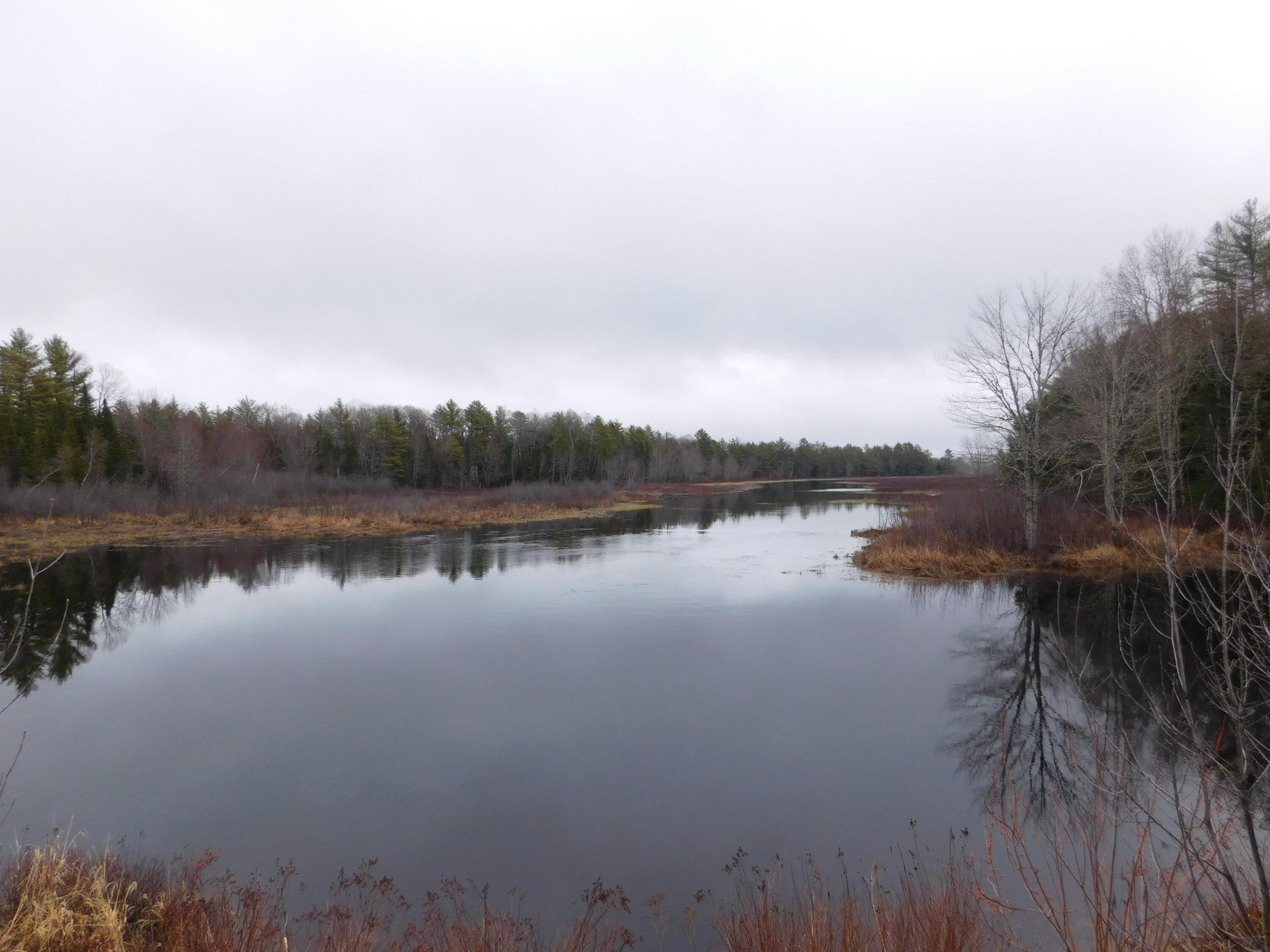 Lot # Spring Bridge Road Greenbush, ME 04418 - Photo 4 of 6 DSCN0480