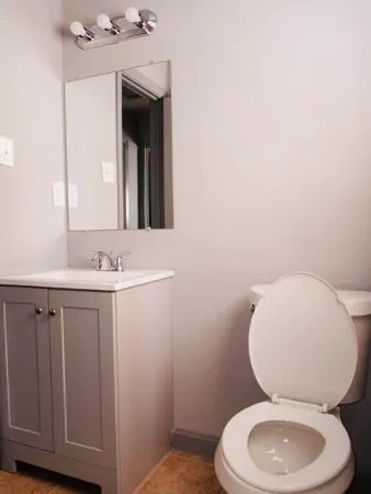 a bathroom with a toilet a sink and mirror