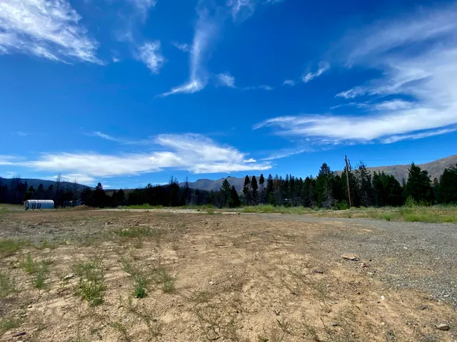 a view of a water with palm trees