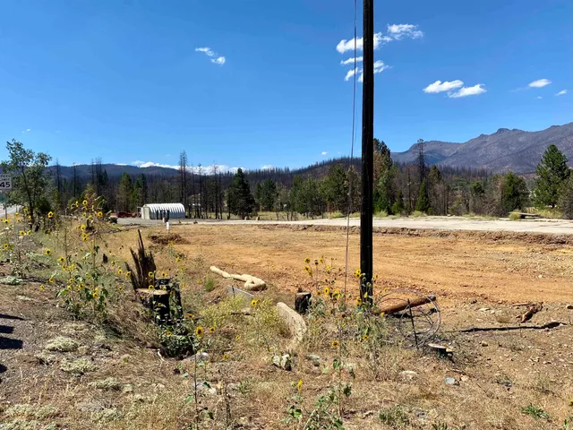 a view of ocean view with beach and trees