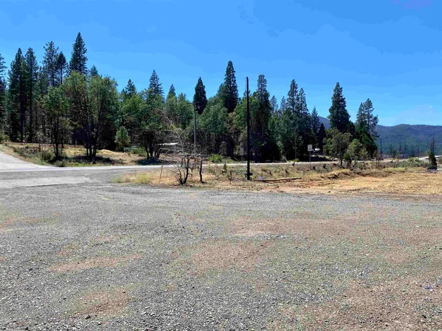 a view of a yard with trees in the background