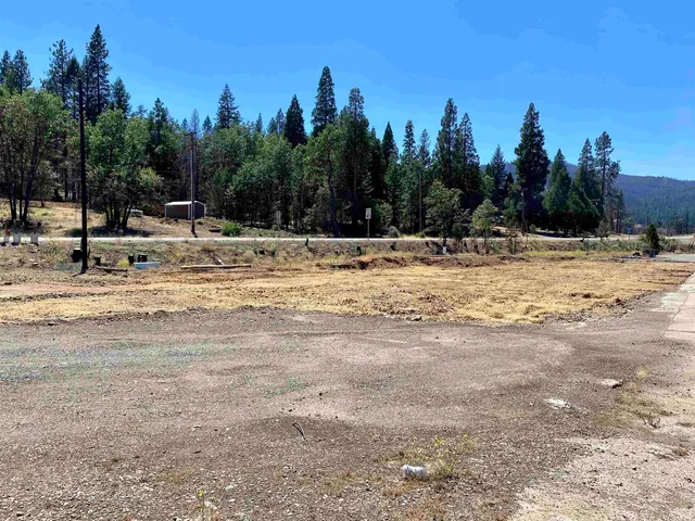 a view of swimming pool with a yard