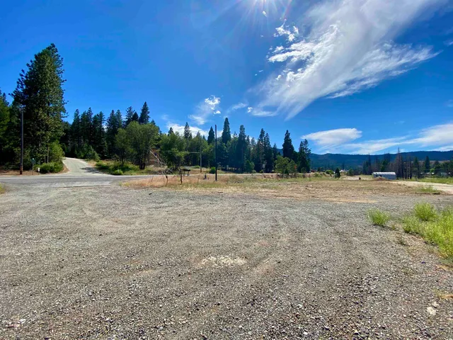 a view of a golf course with a tree