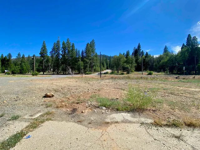 a view of an outdoor space with trees