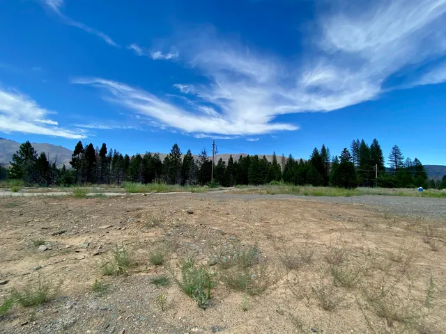 a view of outdoor space with trees