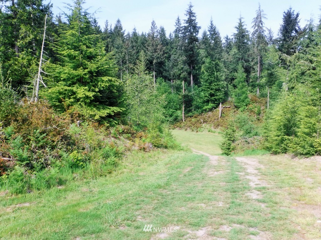 5130 Maxwelton Road Langley, WA 98260 - Photo 2 of 7 Gallery Image 2