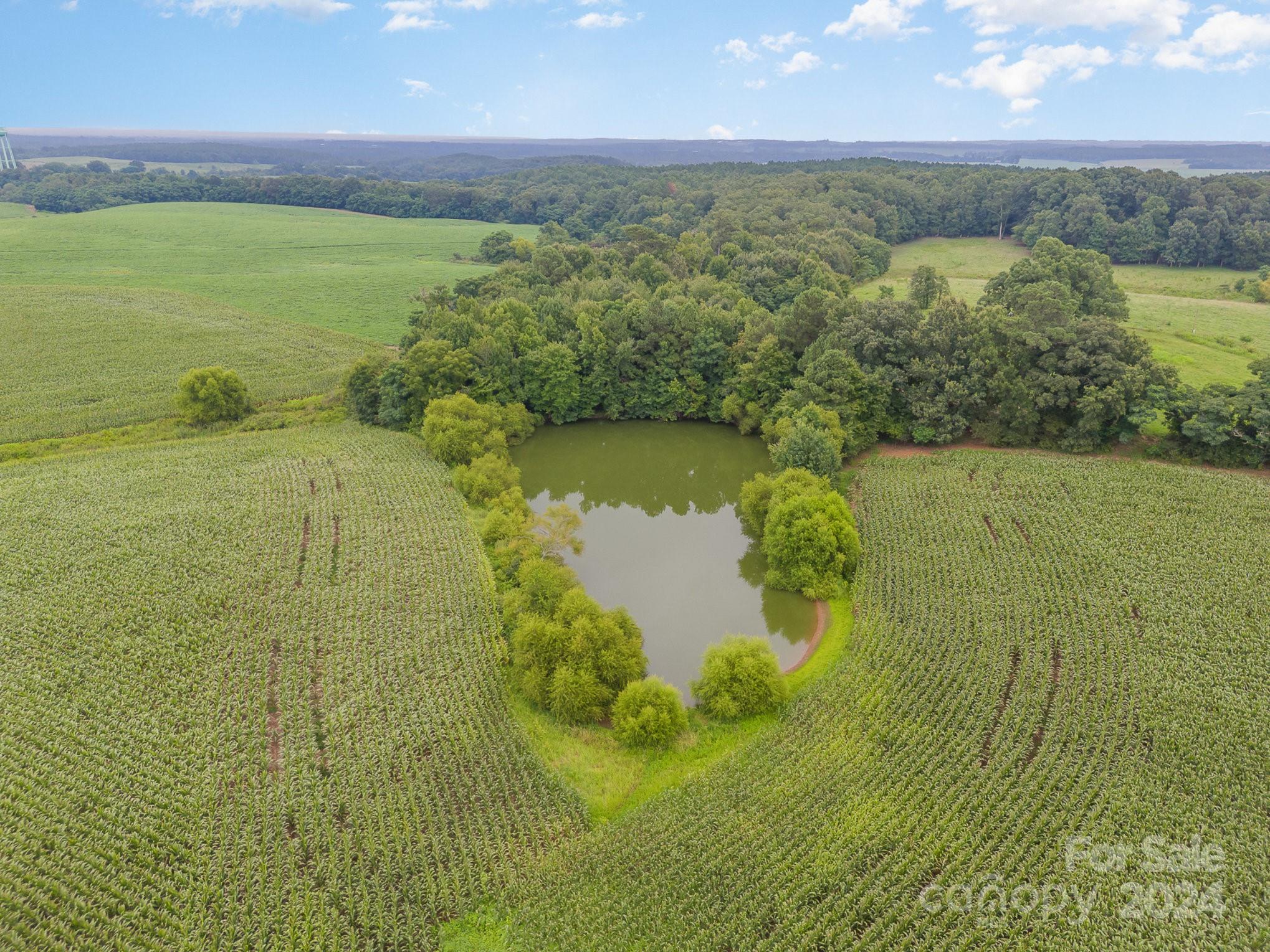 6109 White Store Pageland Road Marshville, NC 28103 - Photo 20 of 27