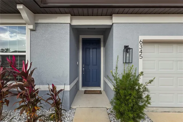a potted plant in front of a door
