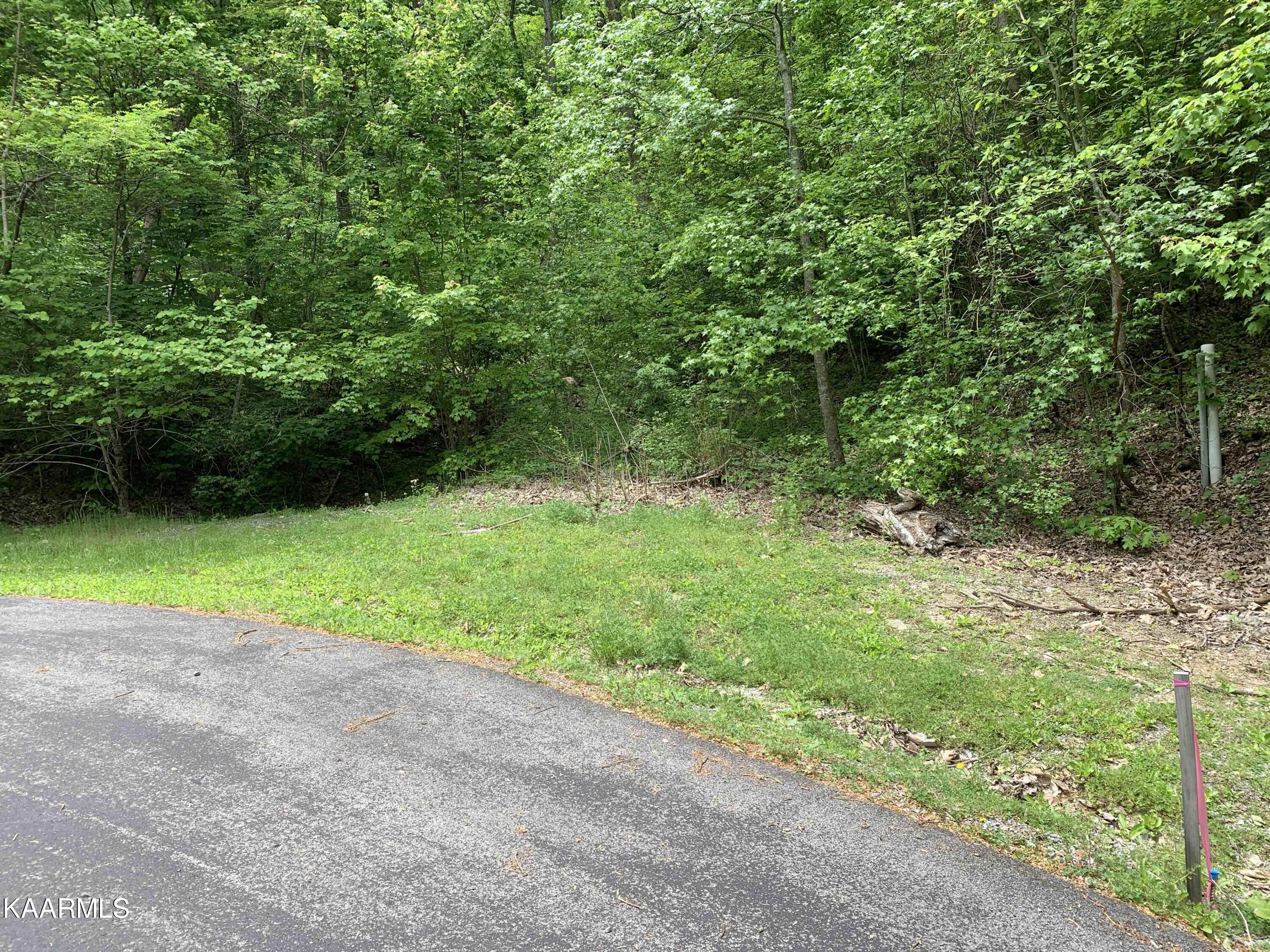 Lot 12 Whetstone Road