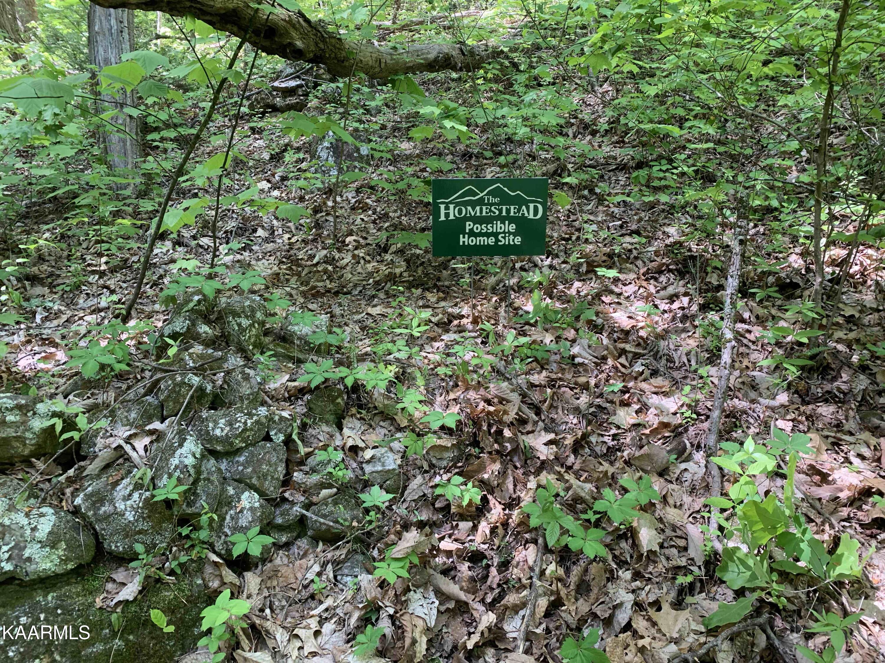 Lot 12 Homesite