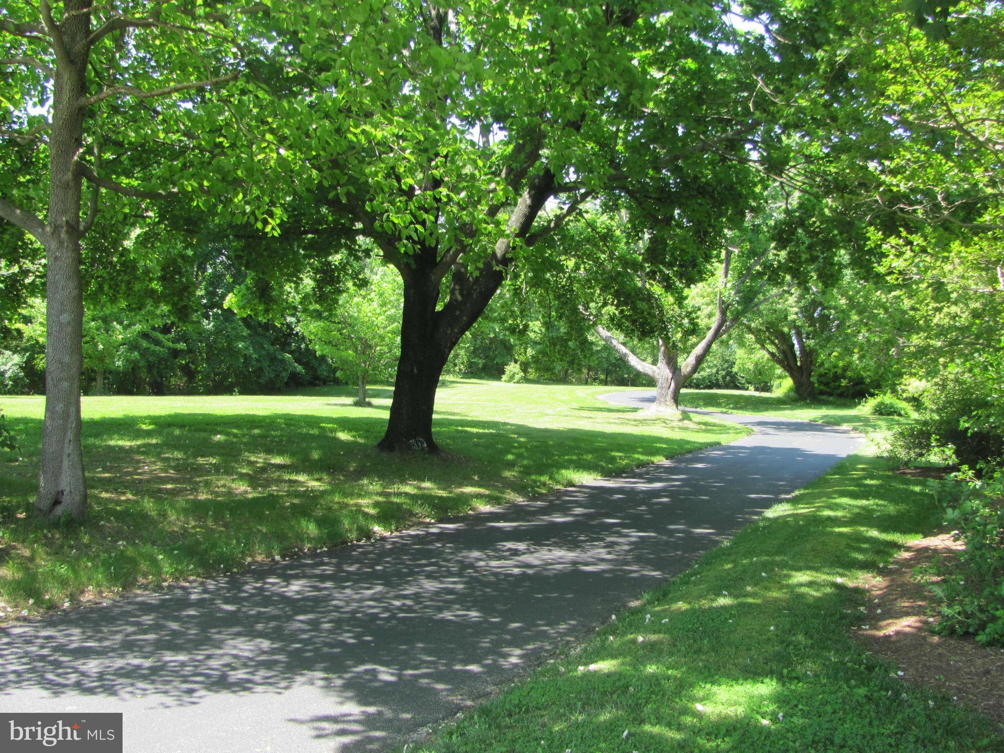 7000 Old Solomons Island Road Friendship, MD 20758 - Photo 28 of 30 The Drive onto the property