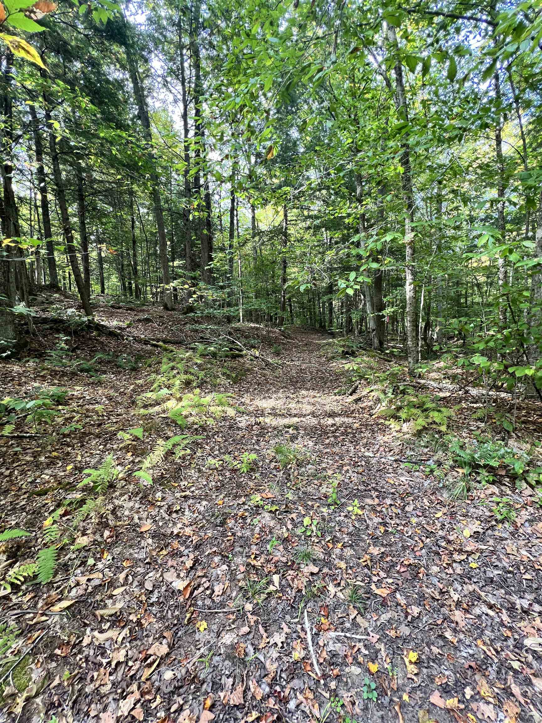 5 5 Corners Road Fairlee, VT 05045 - Photo 6 of 16 Gallery Image 6