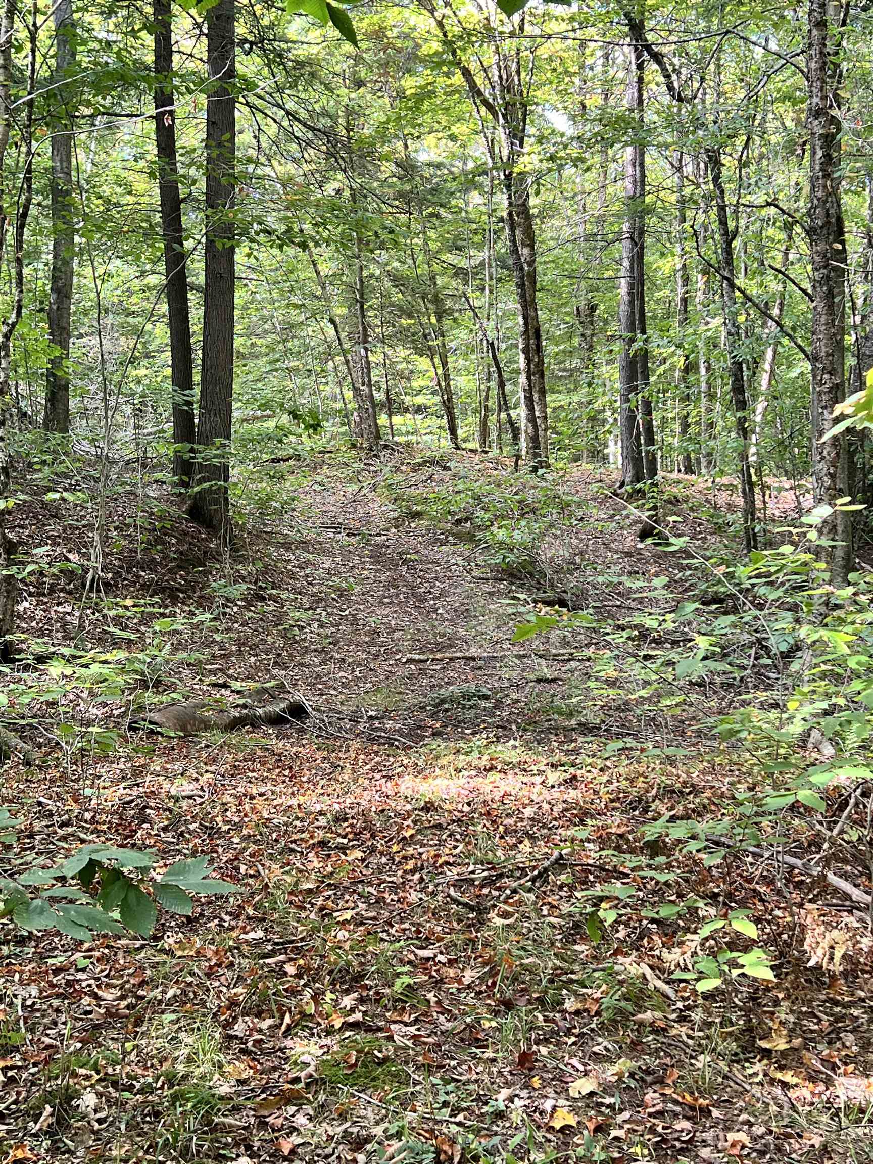 5 5 Corners Road Fairlee, VT 05045 - Photo 7 of 16 Gallery Image 7