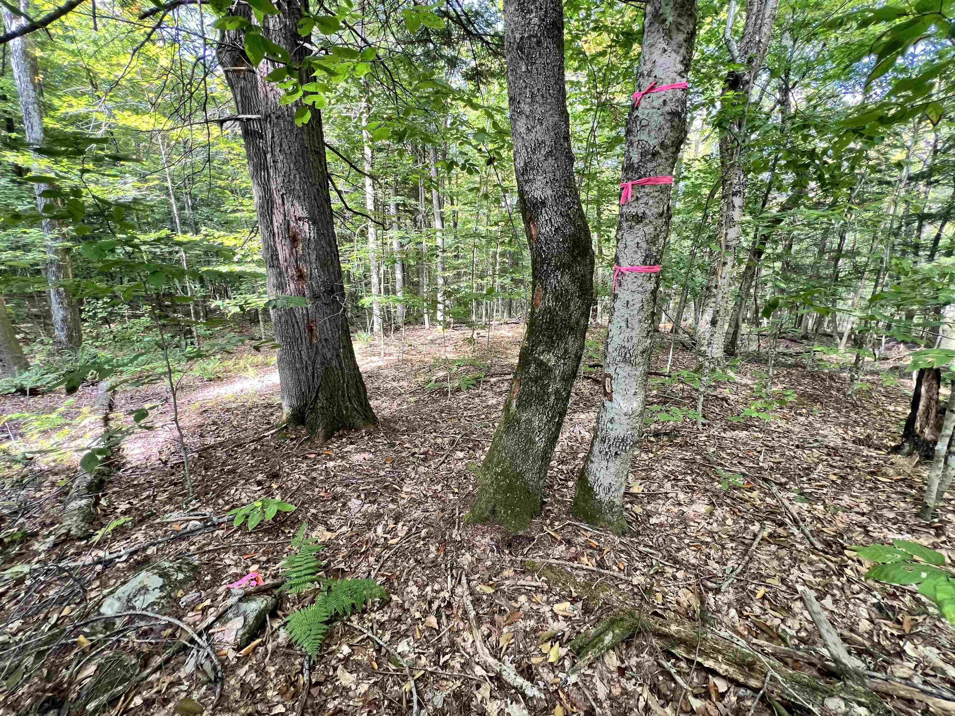 5 5 Corners Road Fairlee, VT 05045 - Photo 10 of 16 Gallery Image 10