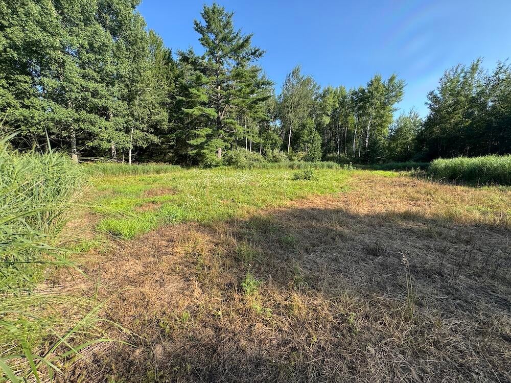 East Procunier Road Harrisville, MI 48740 - Photo 44 of 78 Gallery Image 44