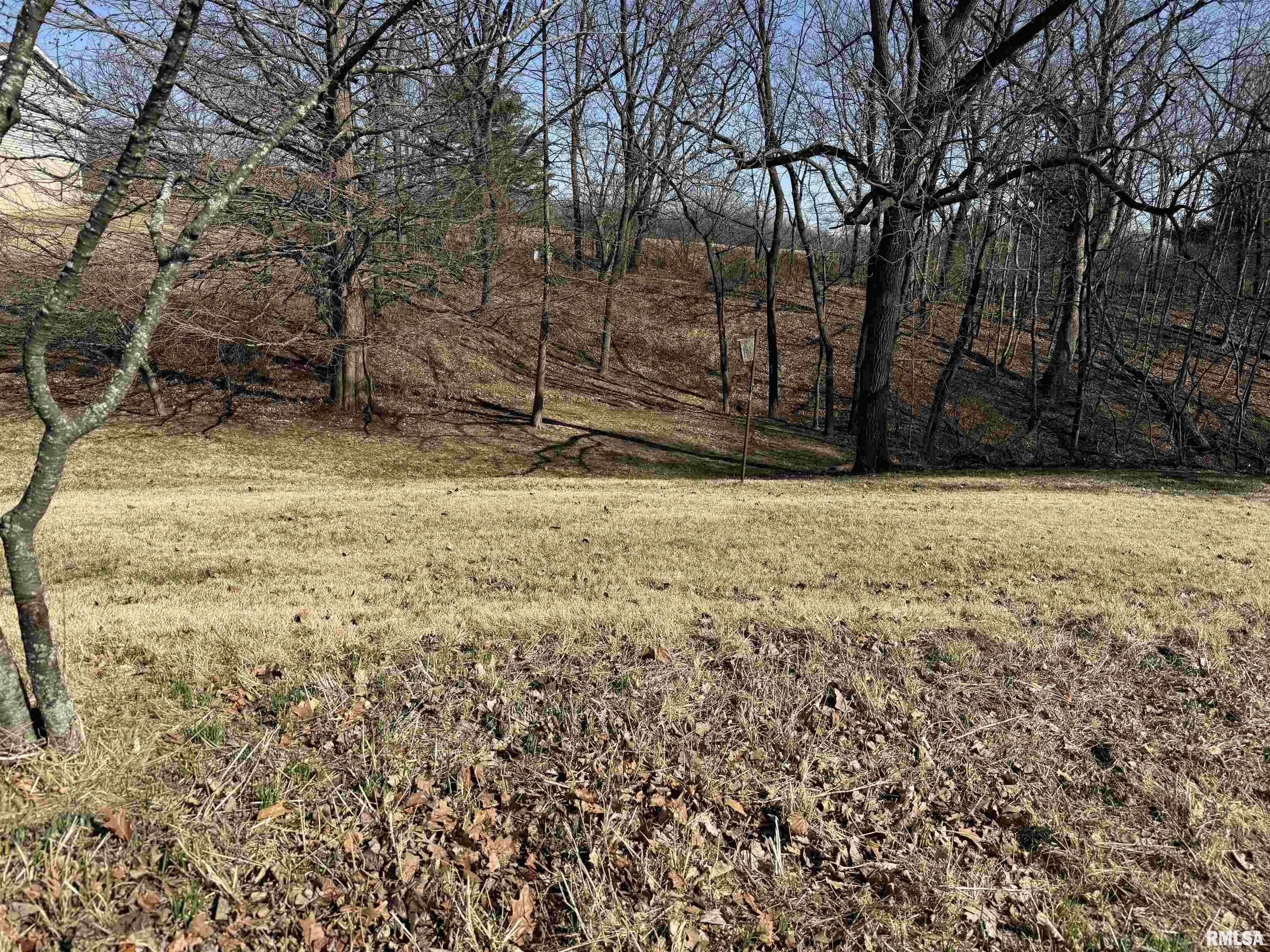 417 Wagner Street Washington, IL 61571 - Photo 6 of 27