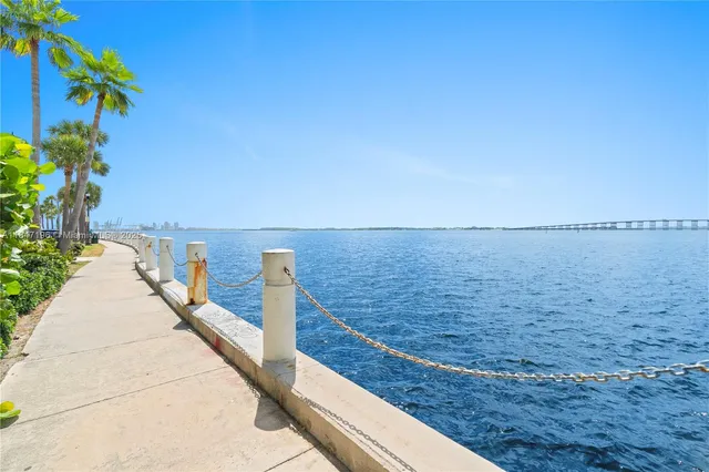 a view of a swimming pool with a lawn chairs and palm trees