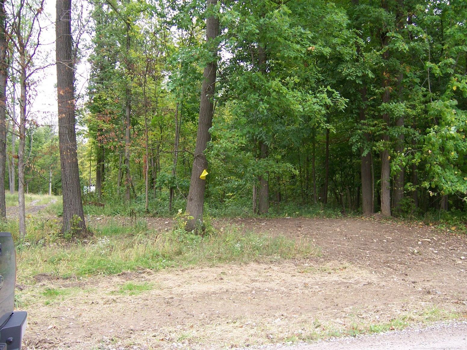0 Cochrane Road Allenton, MI 48002 - Photo 3 of 4