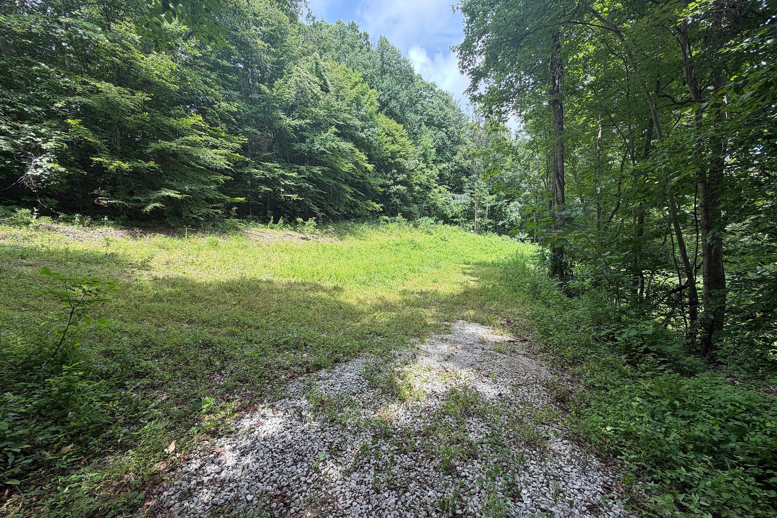 4813 Brammer Hill Ridge Road Monticello, KY 42633 - Photo 6 of 12 IMG_1634