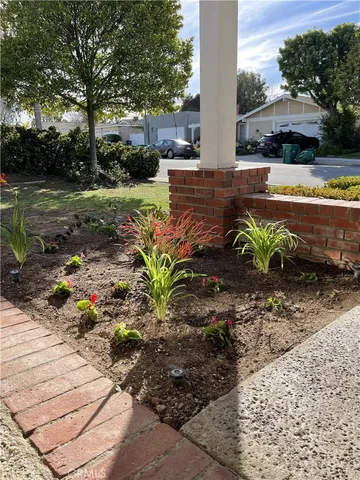 a view of a yard with plants and trees