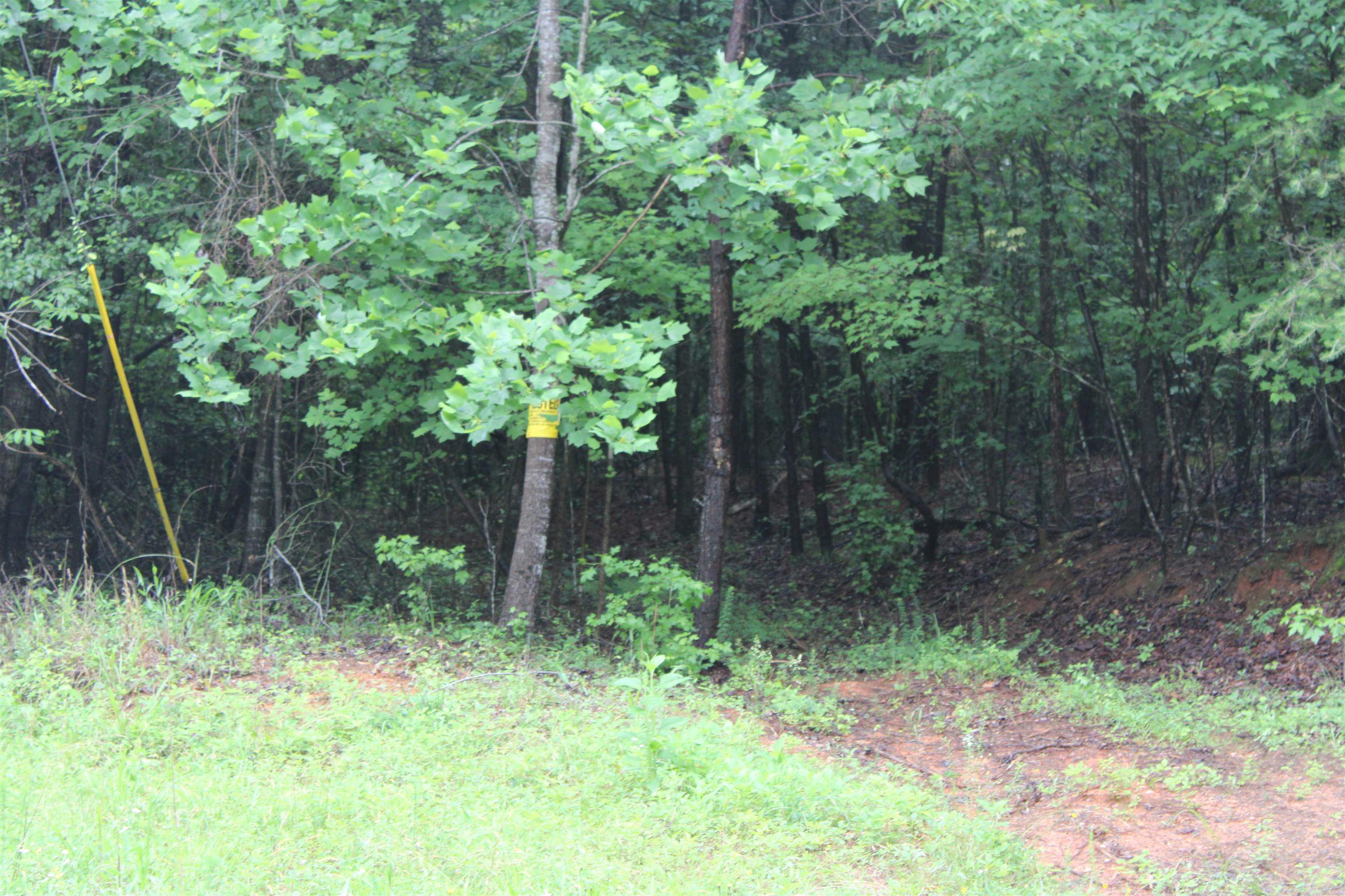 393 Goldmine Road Spartanburg, SC 29307 - Photo 2 of 5