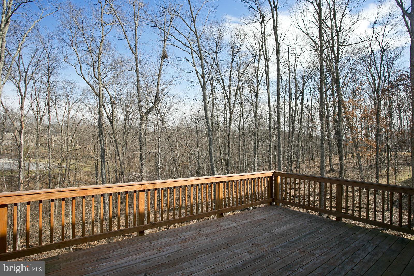 VIEW FROM DECK