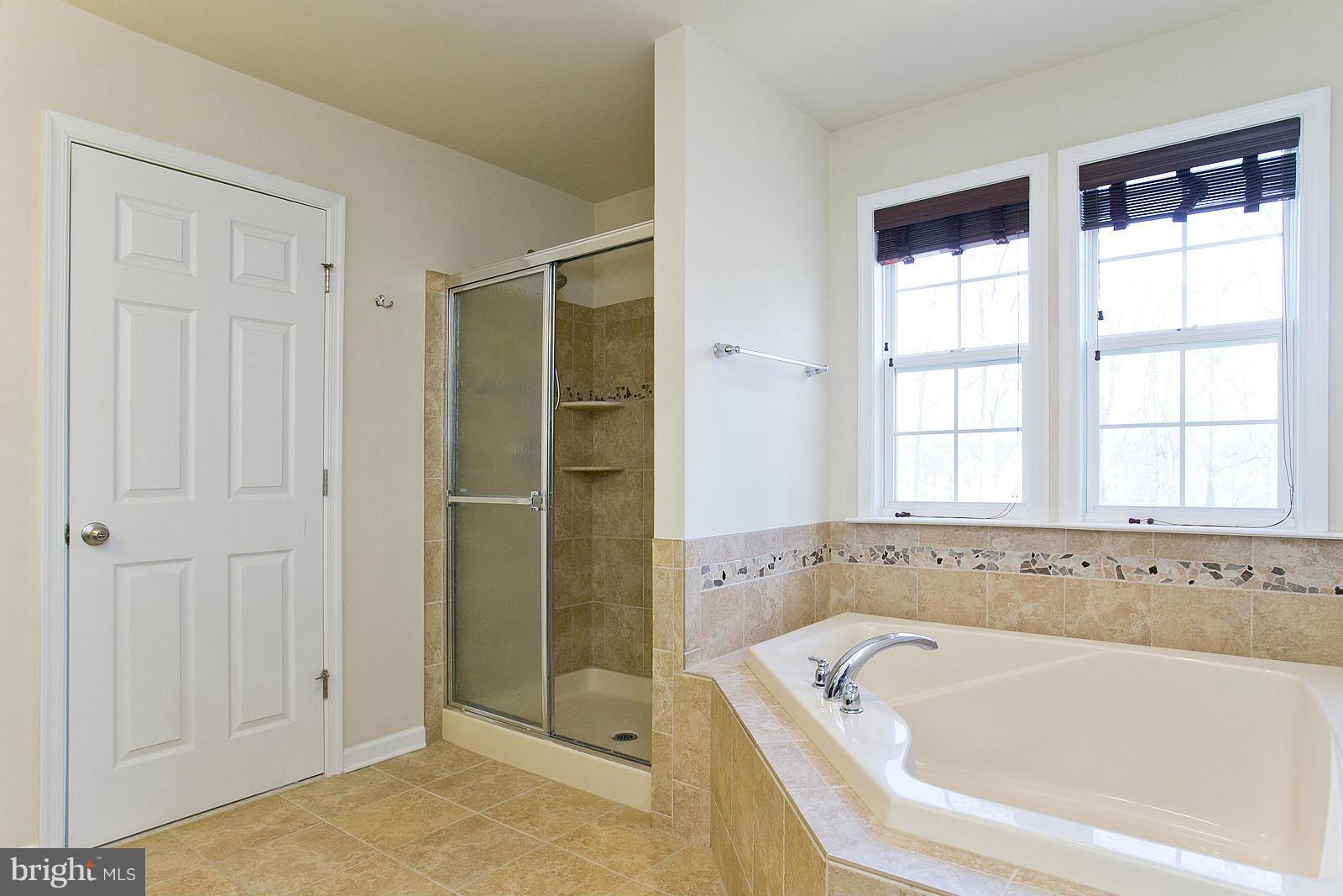 195 Rippling Waters Way Falling Waters, WV 25419 - Photo 18 of 30 DEEP SOAKING TUB AND SEPERATE SHOWER