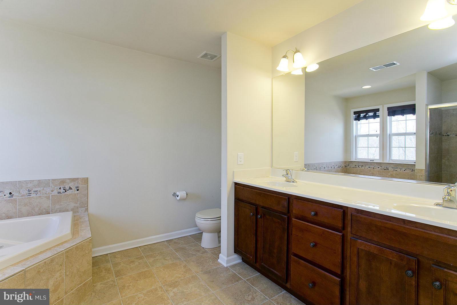 195 Rippling Waters Way Falling Waters, WV 25419 - Photo 19 of 30 LOT OF ROOM IN THIS MASTER BATH